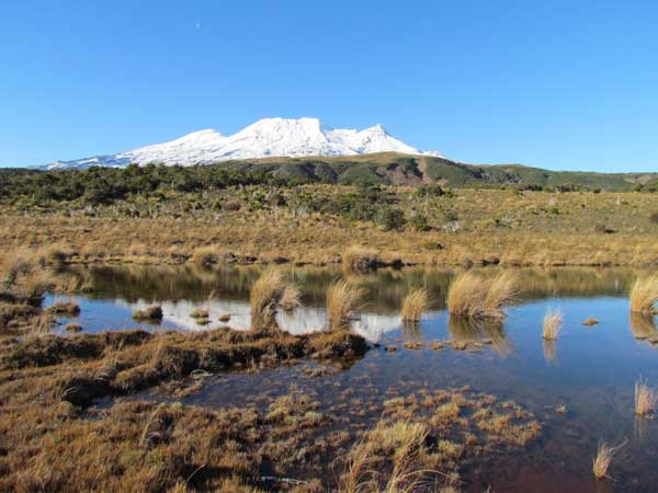 View of Ohakune with snow in the background and lake in front