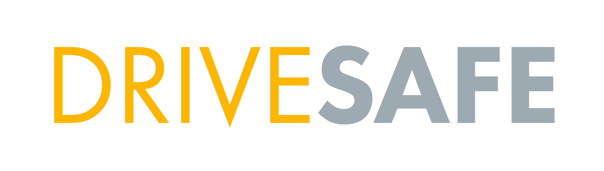 DriveSafe logo no background