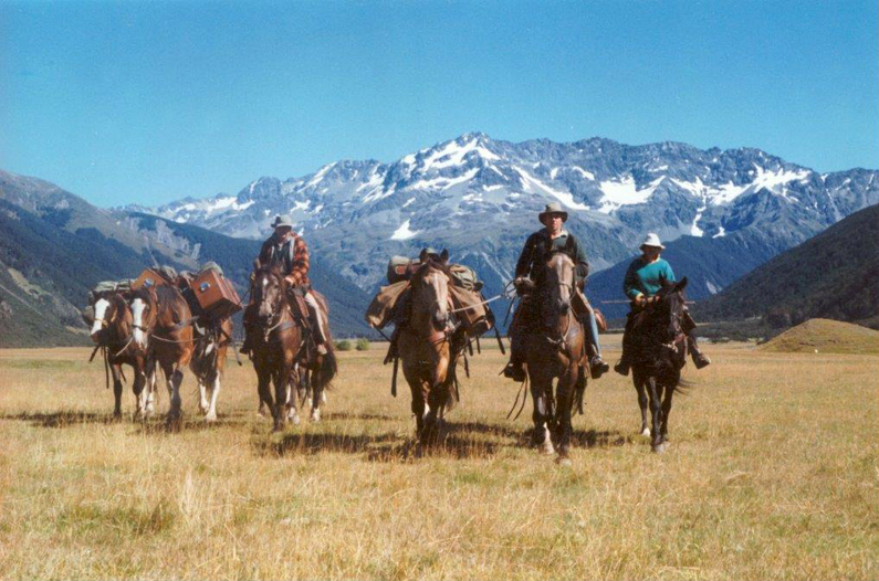 Expert guides from Alpine Horse Safaris