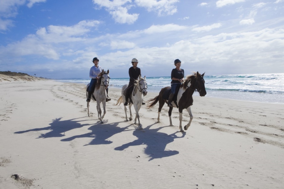 Horse trek Pakiri Beach