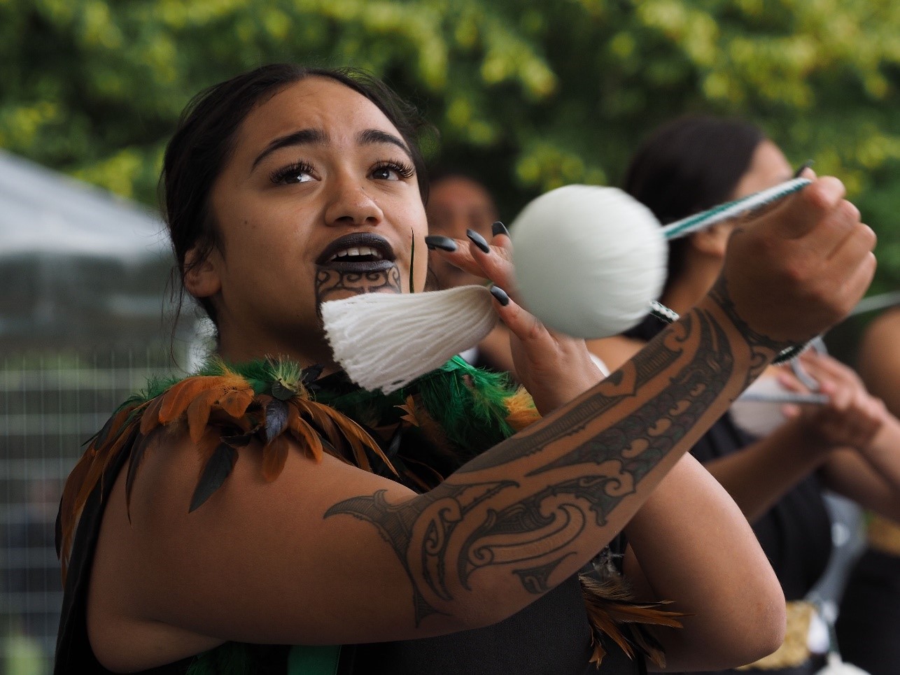 Ko Tane Maori Experience