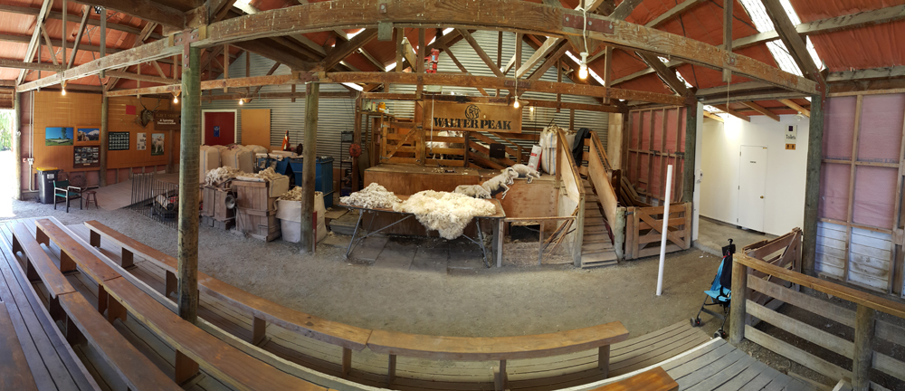 The shearing shed on the Walter Peak tour