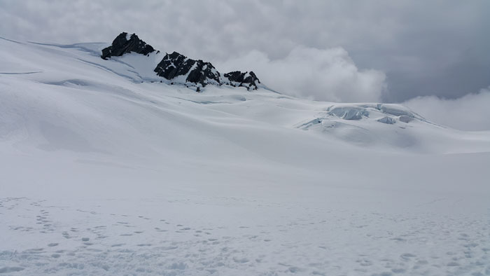 Top of Fox Glacier