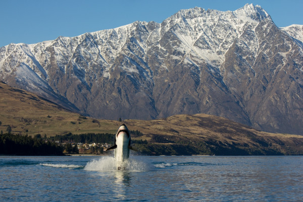 Hydro Attack Shark Ride  Activity in Queenstown, New Zealand