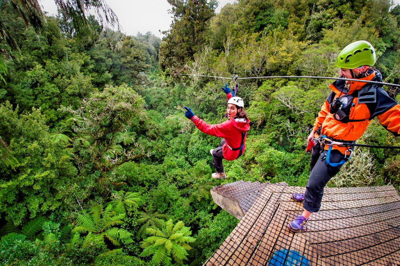 zipline over the Rotorua forests